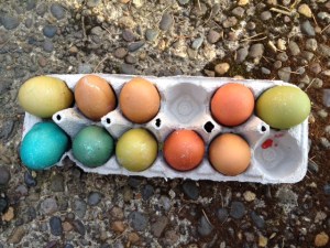 Easter 2013 egg decorating (w/niece + nephew)