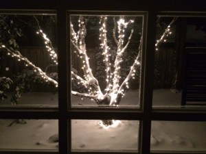 my favorite lit tree with snow